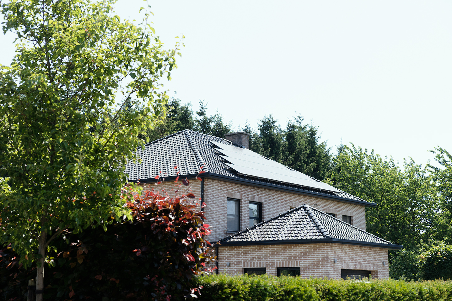 Zonnepanelen